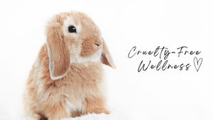 a cute bunny and script that reads "cruelty-free wellness"
