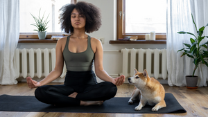 How Daily Meditation Can Help You Achieve Holistic Wellness